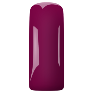 GP Pink Tulip